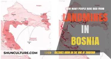Landmine Legacy: Bosnia's Tragic Death Toll and Recovery Efforts