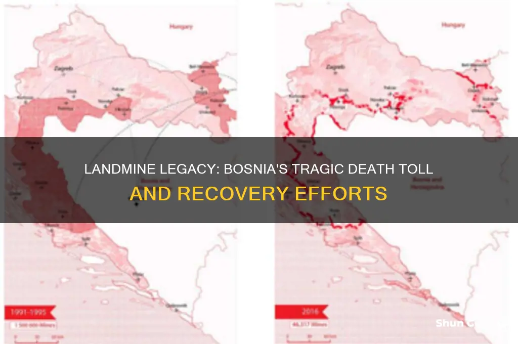 how many people have died from landmines in bosnia