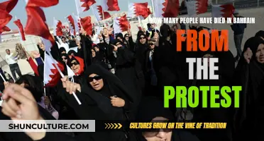 Bahrain's Protest Fatalities: A Human Toll