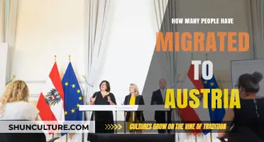 A Journey to Austria: Unveiling Migration Trends