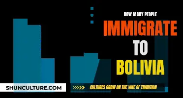 Immigration to Bolivia: Trends and Numbers