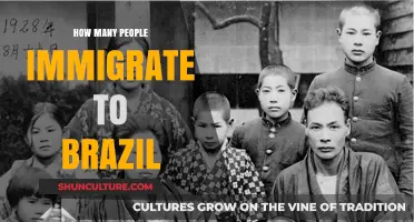 Exploring Brazil's Immigration Trends: How Many People Move There Annually?