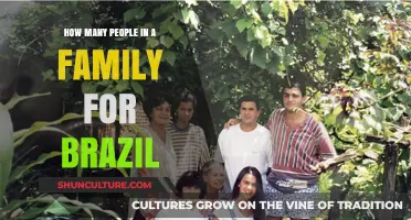 Understanding Average Family Size in Brazil: Trends and Insights