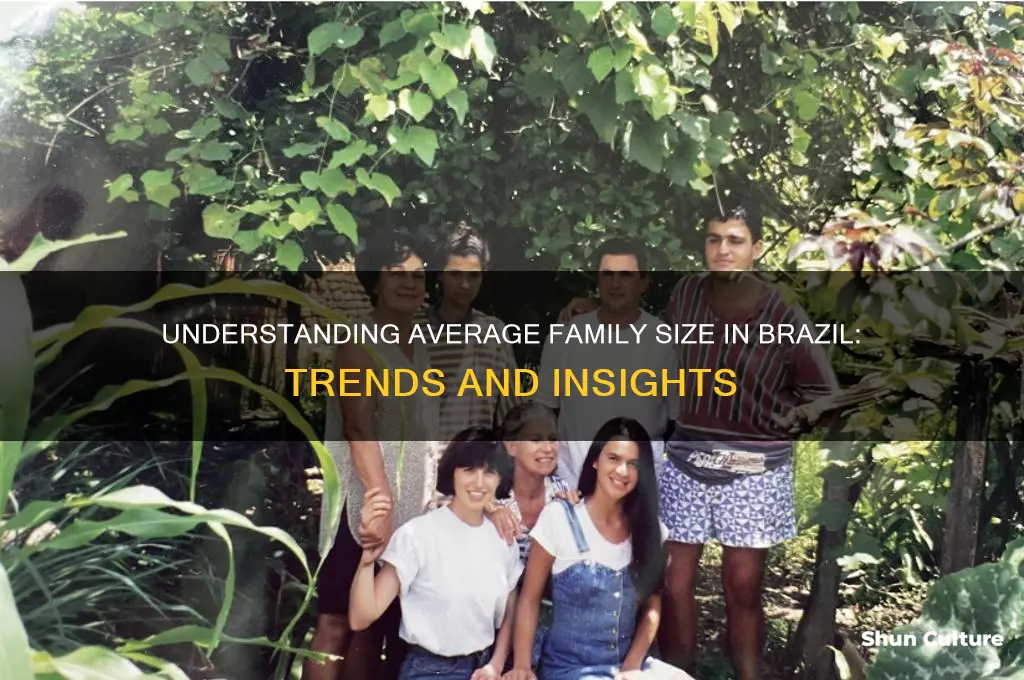 how many people in a family for brazil