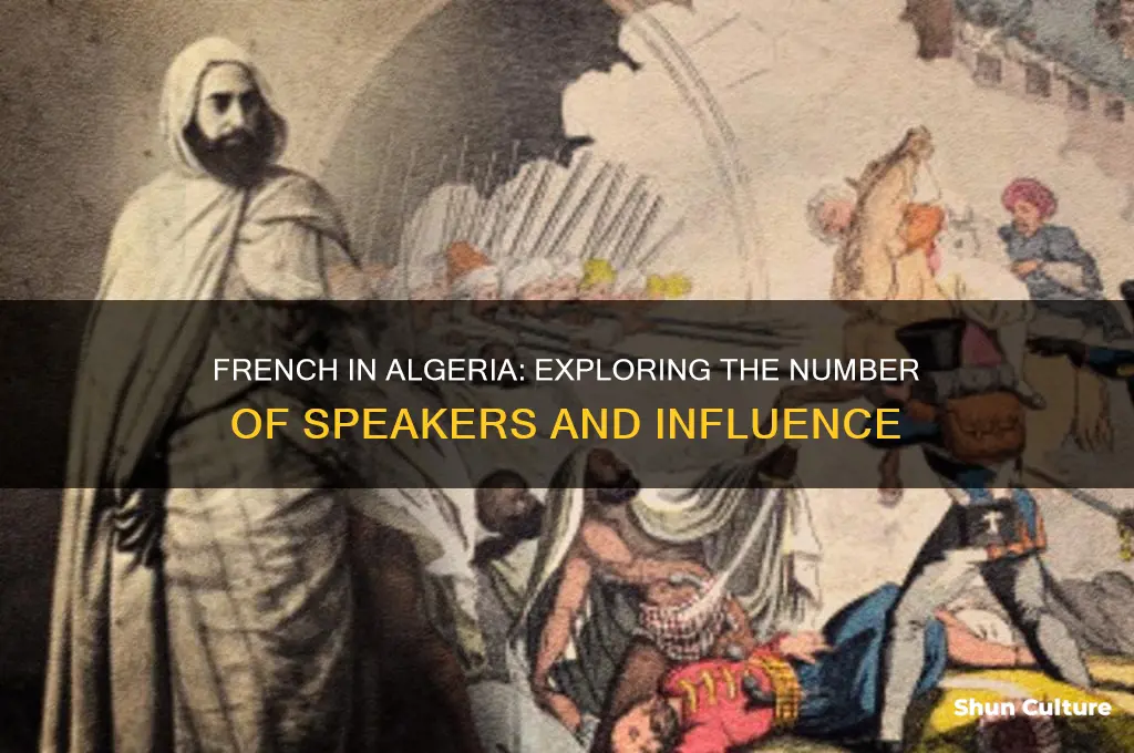 how many people in algeria speak french