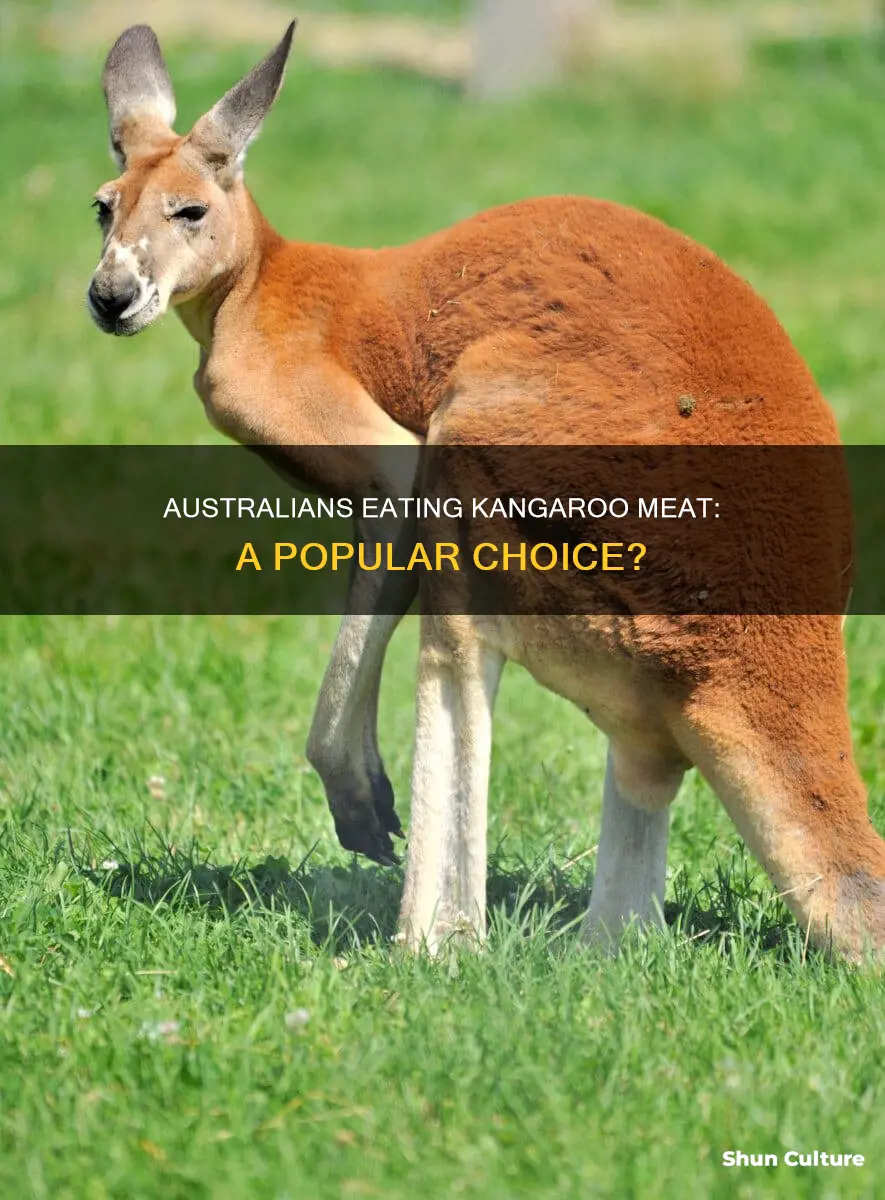 how many people in australia eat kangaroo