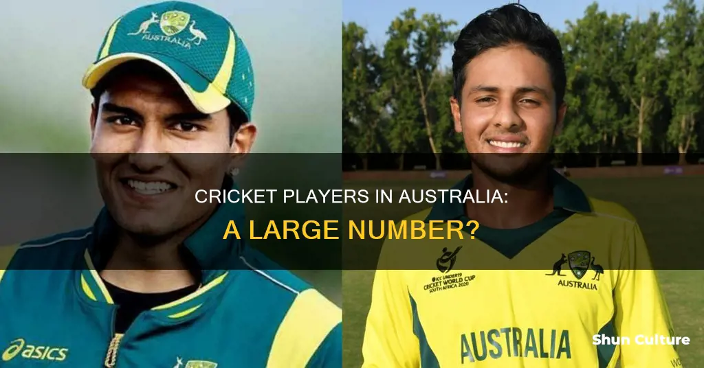 how many people in australia play criocket