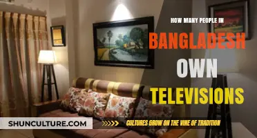 Television Ownership in Bangladesh: A Look at Household Statistics