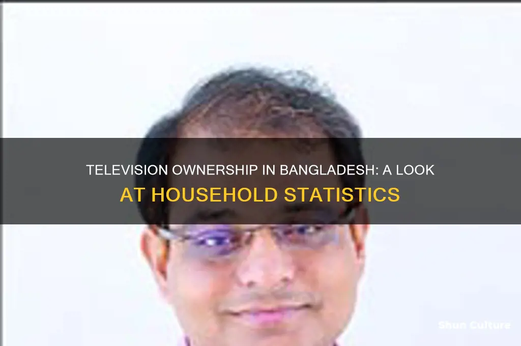 how many people in bangladesh own televisions