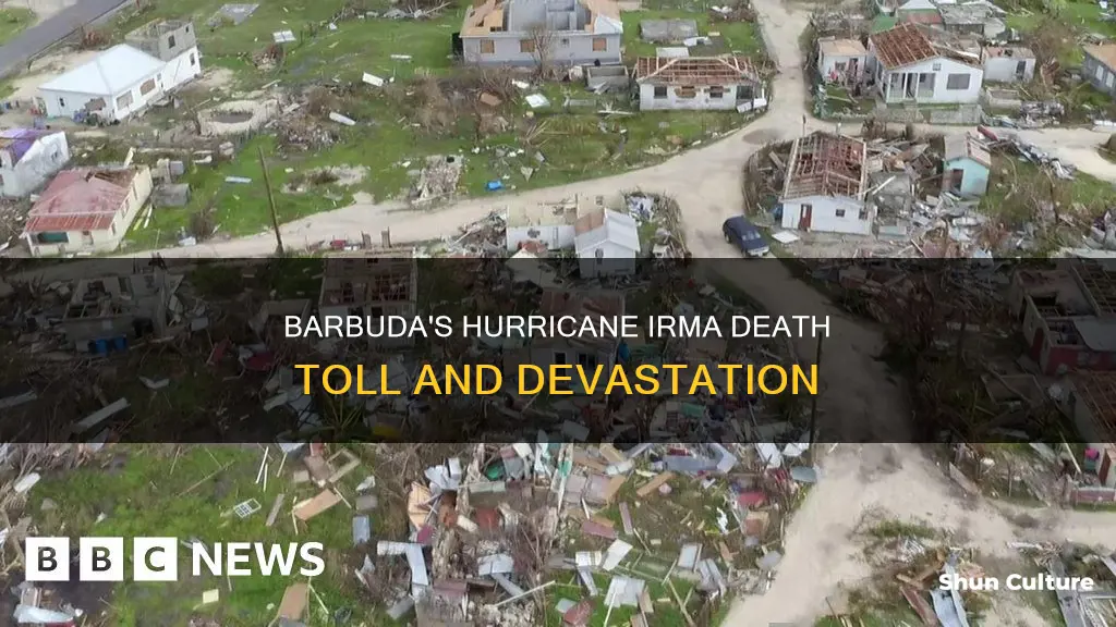 how many people in barbuda died from hurricane irma