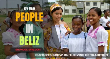 Belize's Population: A Comprehensive Overview