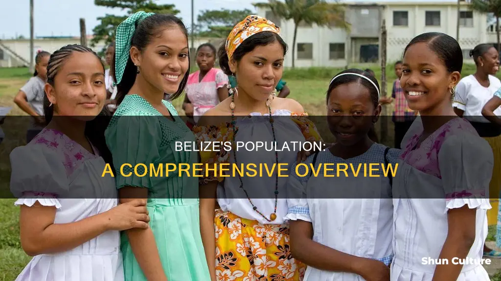 how many people in beliz