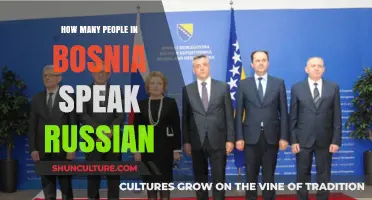 Russian Language Presence in Bosnia: How Many People Speak It?