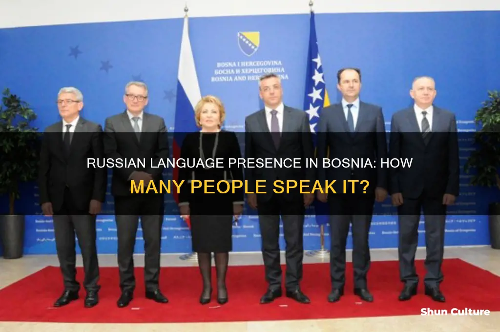 how many people in bosnia speak russian