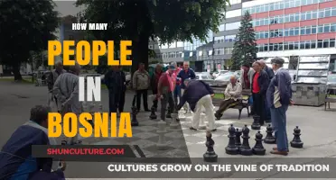 Bosnia's Population: Unveiling the Current Demographics and Trends