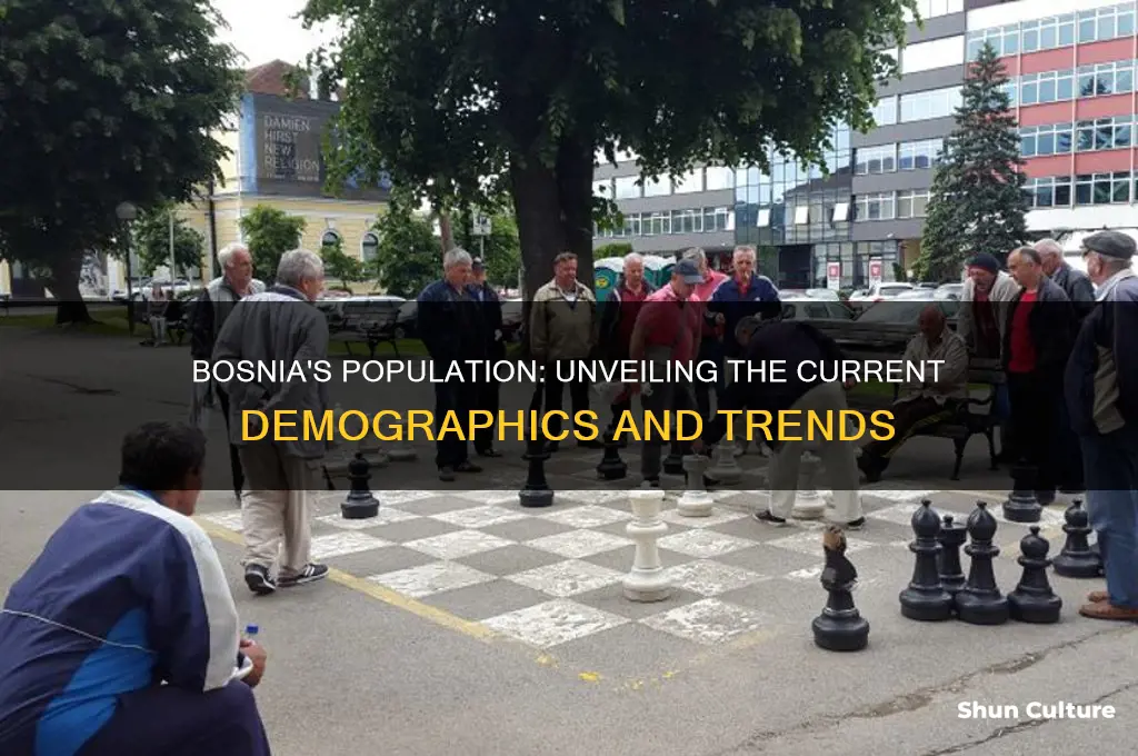 how many people in bosnia