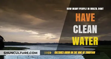 Brazil's Water Crisis: Millions Lack Access to Clean Water