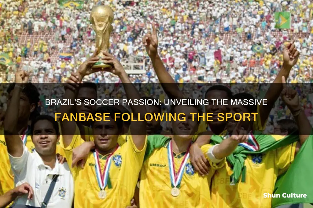 how many people in brazil follow soccer