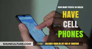 Brazil's Mobile Revolution: Cell Phone Ownership Statistics Revealed