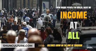 Brazil's Zero-Income Population: Understanding the Scale of Financial Hardship