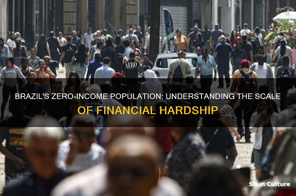 how many people in brazil have no income at all