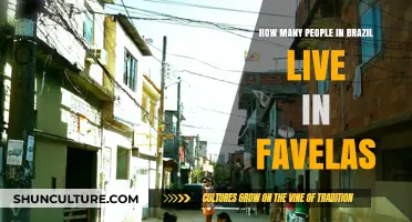 Brazil's Favelas: Unveiling the Population Living in Informal Settlements