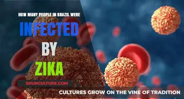 Zika Virus Outbreak in Brazil: Infection Rates and Impact