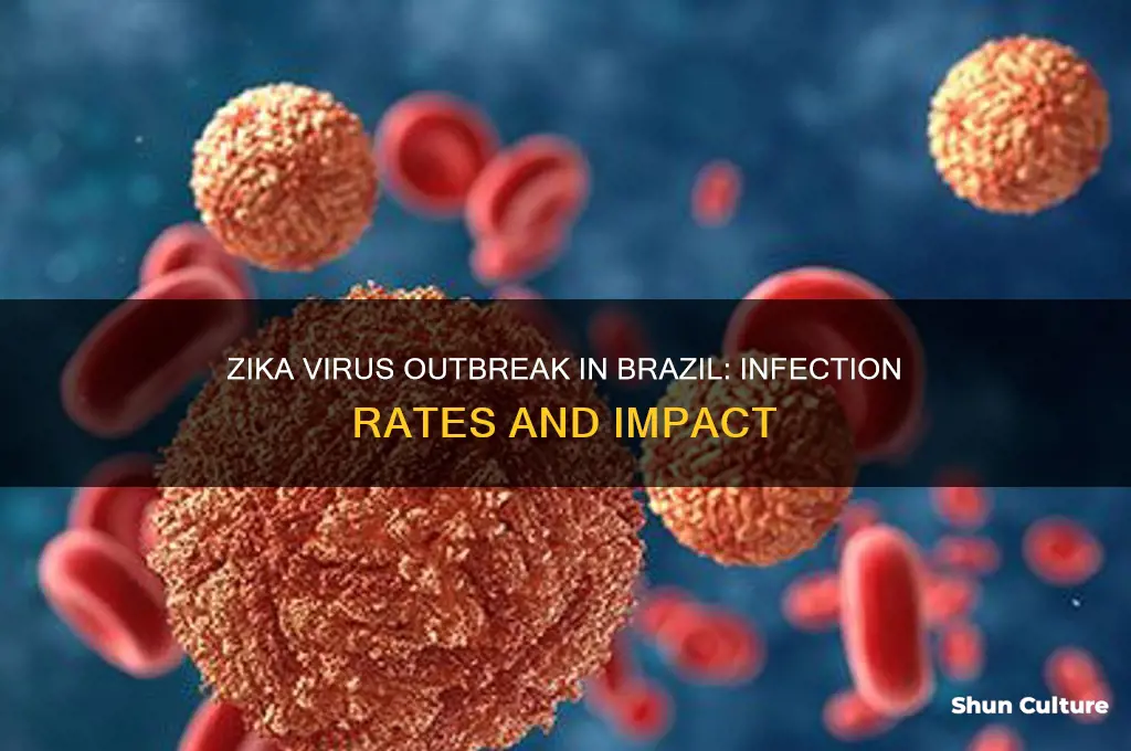 how many people in brazil were infected by zika