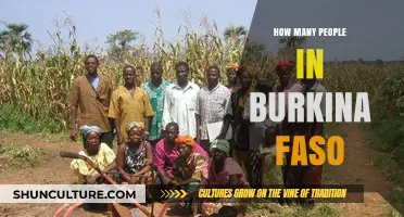 Population Insights: Unveiling the Human Tapestry of Burkina Faso