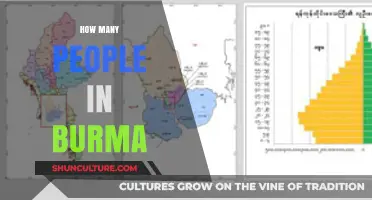 Population Insights: Understanding the Demographic Landscape of Burma