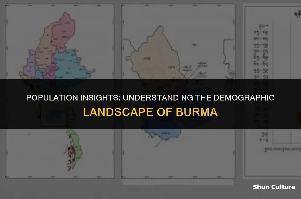 how many people in burma