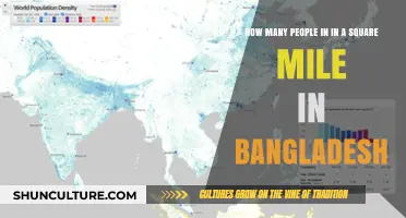 Bangladesh Population Density: How Many People Live in a Square Mile?