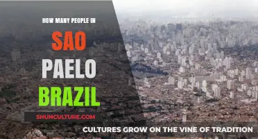 Exploring São Paulo's Population: How Many People Call Brazil's Metropolis Home?