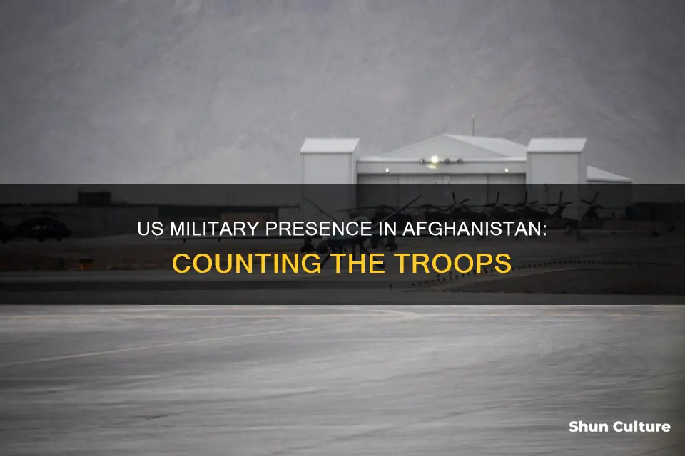 how many people in the afghanistan us military base