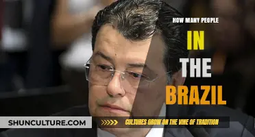 Brazil's Population: Unveiling the Current Count and Growth Trends
