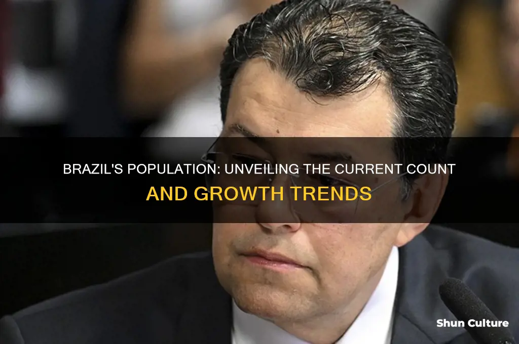 how many people in the brazil
