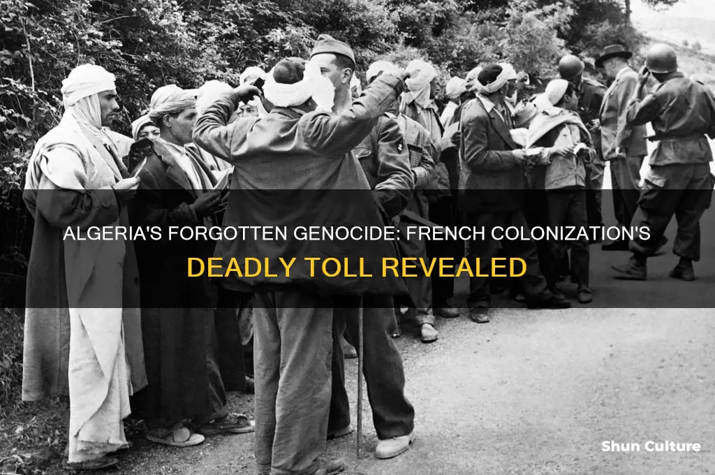 how many people killed in genocide algeria french colonization