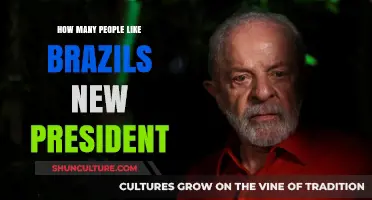 Brazil's New President: Gauging Public Approval and National Sentiment