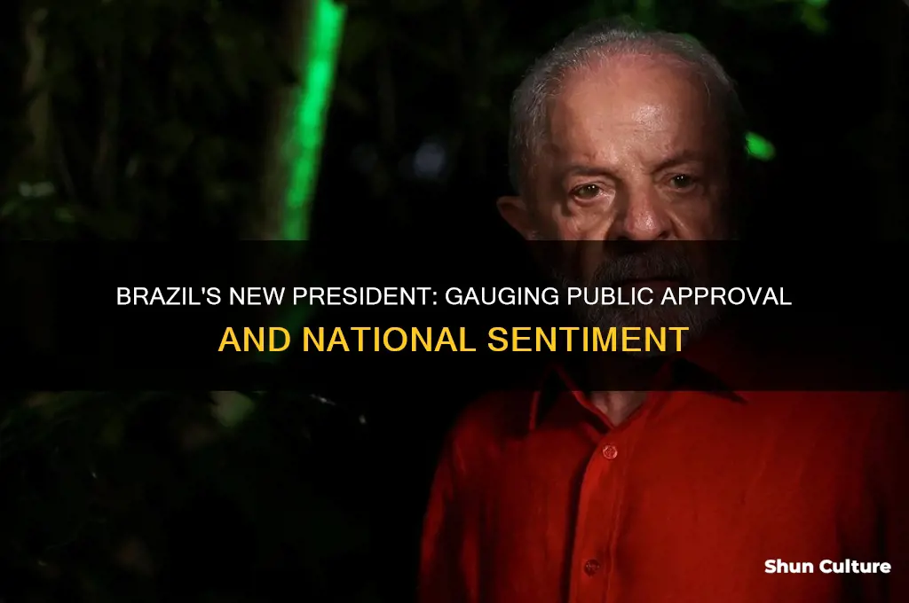 how many people like brazils new president