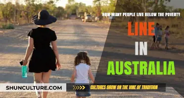 Poverty in Australia: Who Lives Below the Line?