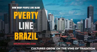 Understanding Brazil's Poverty Line: How Many People Live Below It?