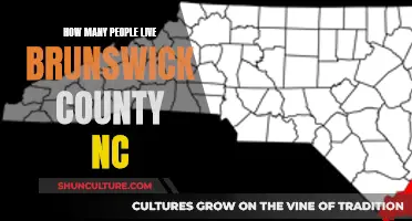 Brunswick County: Population and Growth