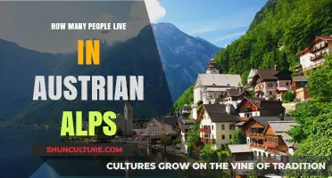 Exploring the Austrian Alps: A Population Overview