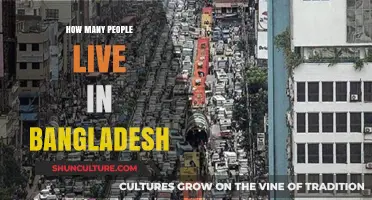 Exploring Bangladesh's Population: How Many People Call It Home?
