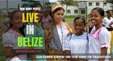 Belize's Population: A Comprehensive Overview