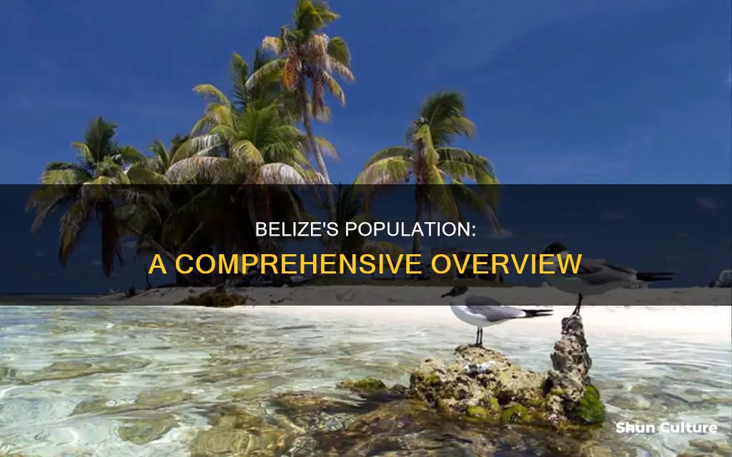 how many people live in belize