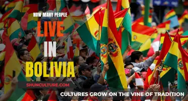 Exploring Bolivia's Population: How Many Call It Home?