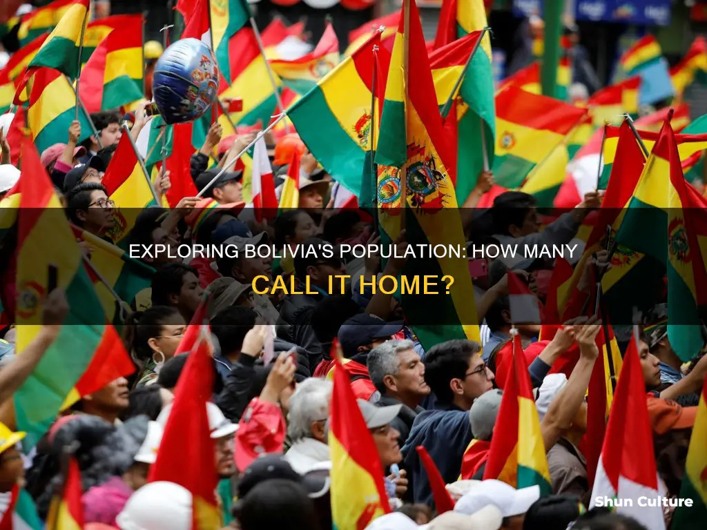 how many people live in bolivia