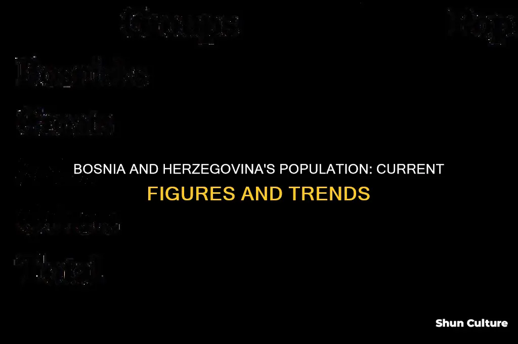 how many people live in bosnia and herzegovina