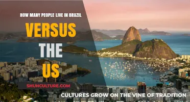 Brazil vs. US: Comparing Population Sizes and Demographics